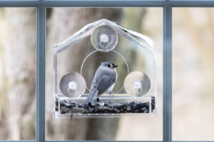 Vogelhäuschen im privaten Garten