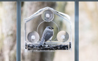Vogelhäuschen im privaten Garten