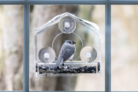 Vogelhäuschen im privaten Garten