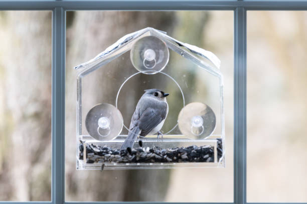 Vogelhäuschen im privaten Garten